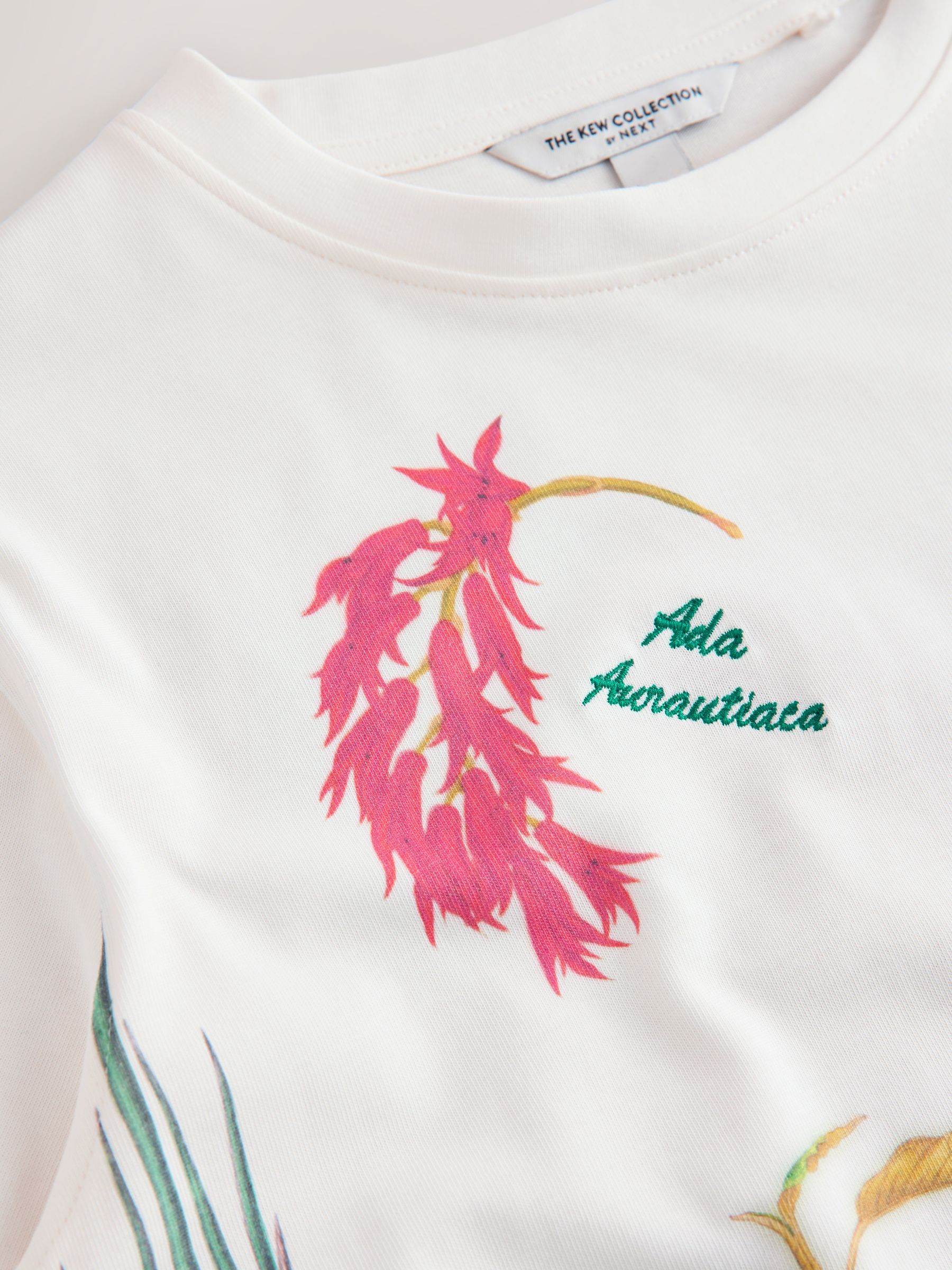 Buy White Licence Kew Gardens Graphic Short Sleeve T-Shirt from