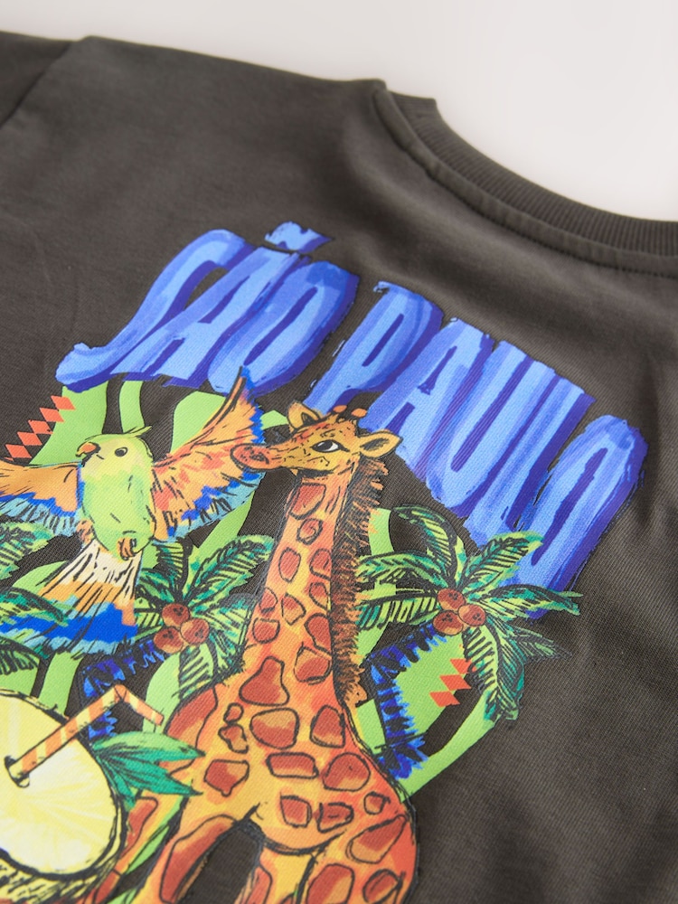 Charcoal Grey Sao Paulo Short Sleeve Back Print T-Shirt (3mths-7yrs) - Image 9 of 9