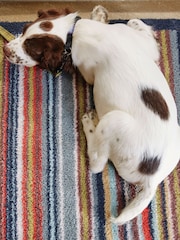 Hug Rug Multi Stripe 32 Mat - Image 2 of 4