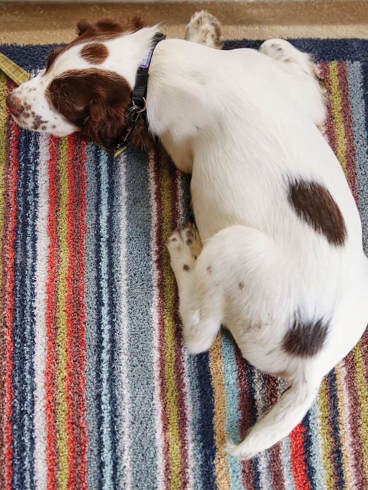 Hug Rug Multi Stripe 32 Mat - Image 2 of 4