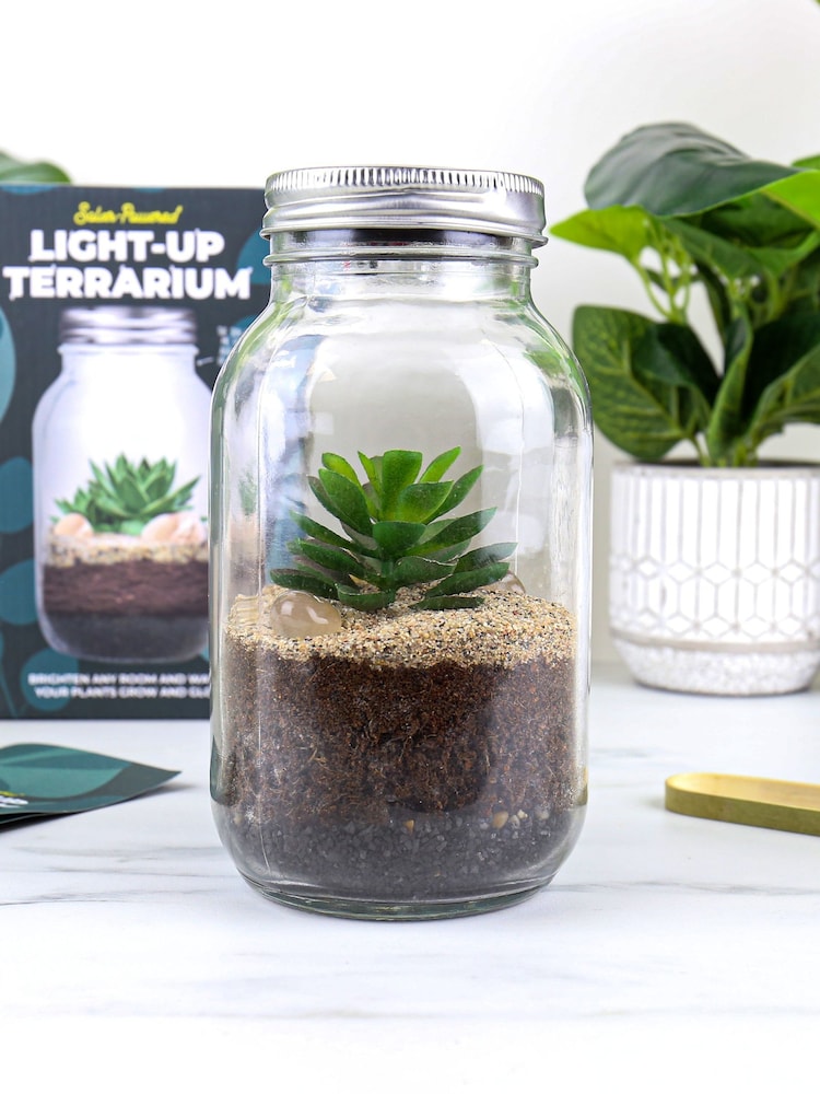 Gift Republic Blue Light Up Terrarium - Image 1 of 7