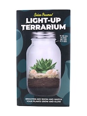 Gift Republic Blue Light Up Terrarium - Image 5 of 7