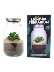 Gift Republic Blue Light Up Terrarium - Image 6 of 7