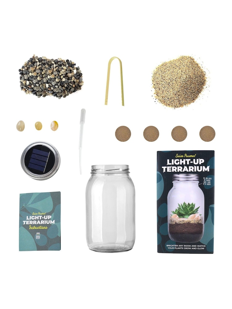 Gift Republic Blue Light Up Terrarium - Image 7 of 7 Gift Republic Blue Light Up Terrarium - Image 7 of 7
