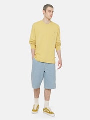 modra - Dickies Ground Madison Denim Jorts - Slika 3 iz 9
