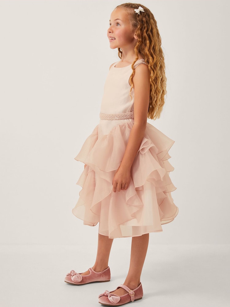 Monsoon Pink Joanie Organza Ruffle Party Dress - Image 1 of 3