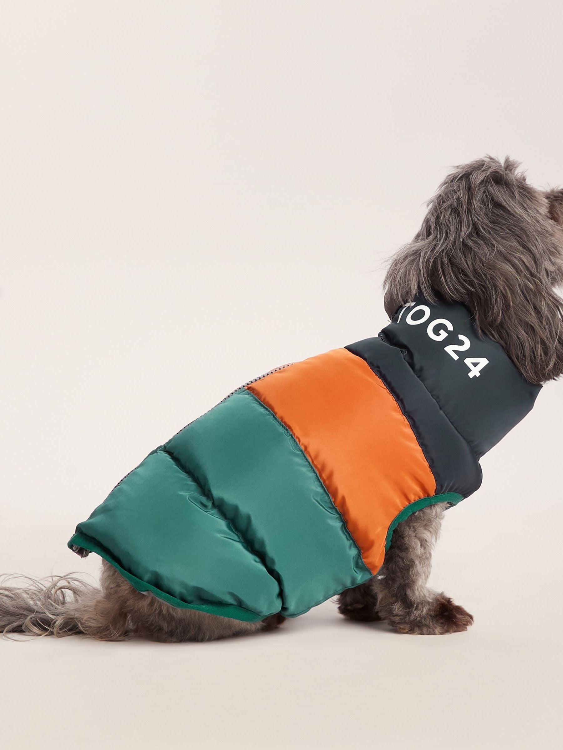 tog 24 dog coat