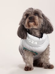 Tog 24 Blue Fetch Padded Dog Coat - Image 6 of 7