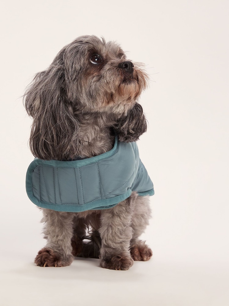 Tog 24 Grey Fido Padded Dog Coat - Image 1 of 6 Tog 24 Grey Fido Padded Dog Coat - Image 1 of 6
