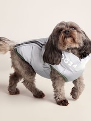 Tog 24 Blue Fetch Padded Dog Coat - Image 6 of 7