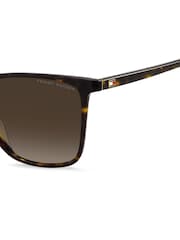Tommy Hilfiger Brown Cat Eye Sunglasses in Havana - Image 4 of 4