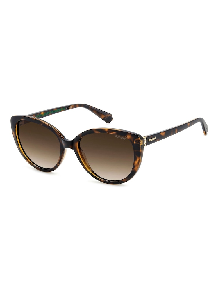 Polaroid Brown Cat Eye Sunglasses - Image 1 of 6 Polaroid Brown Cat Eye Sunglasses - Image 1 of 6