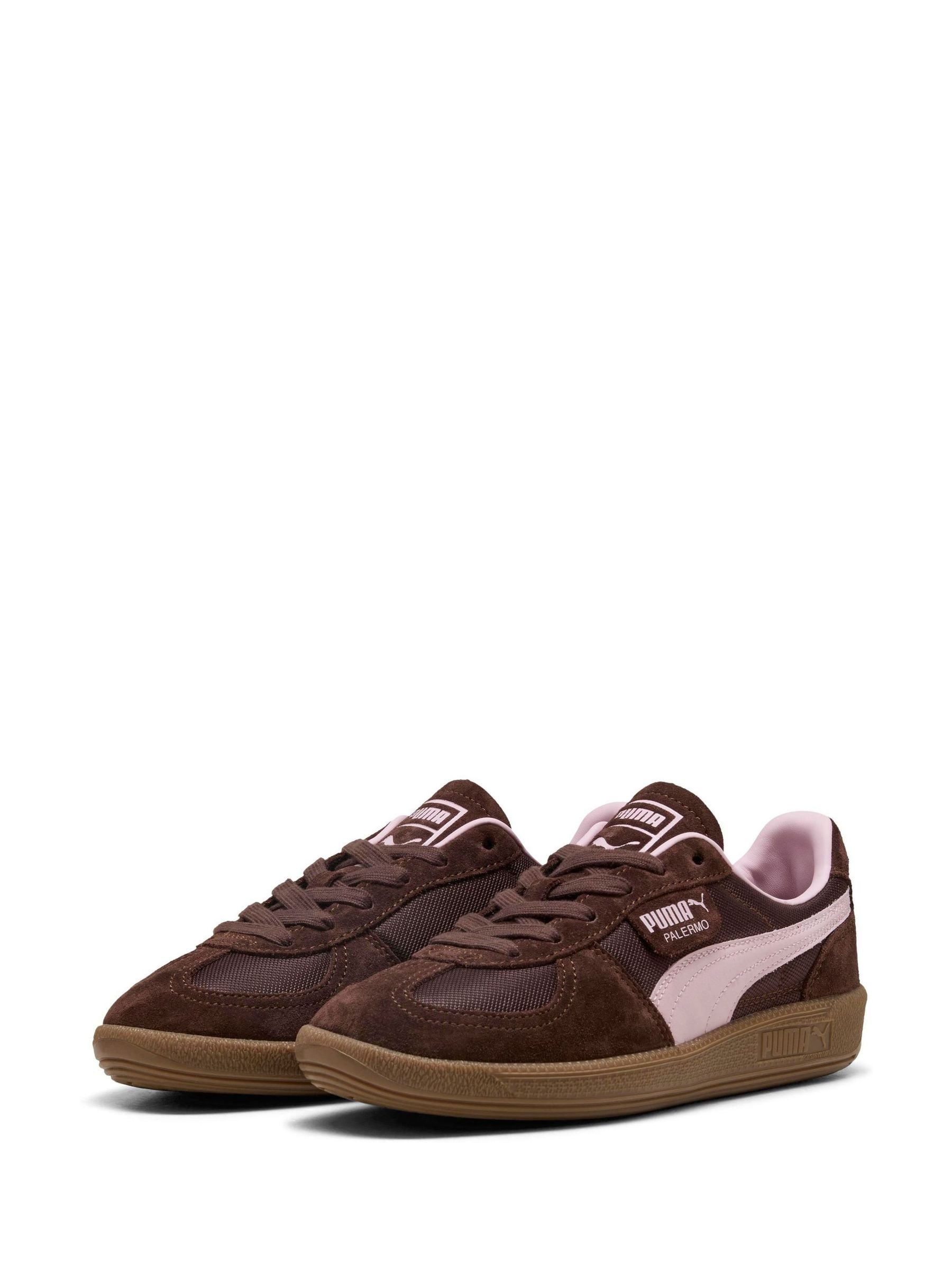 Buy Puma Brown Palermo Vintage Update Trainers from Next USA
