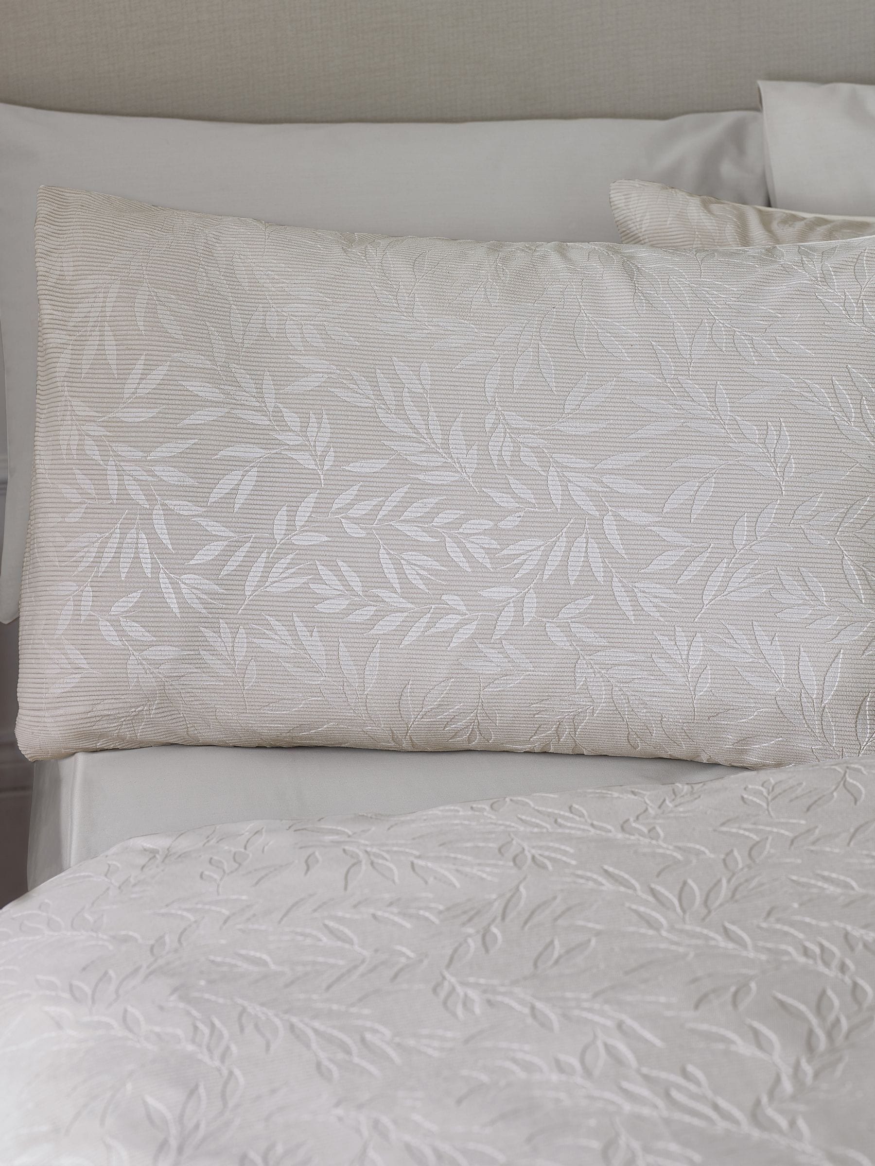 Next EU