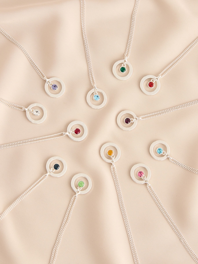 Silver Tone Birthstone Disc Drop Necklace - Image 1 of 14