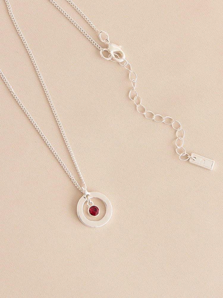 Silver Tone Birthstone Disc Drop Necklace - Image 2 of 14