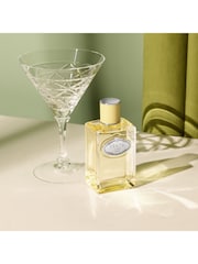 Prada Infusion de Gingembre Eau de Parfum 100ml - Image 4 of 5