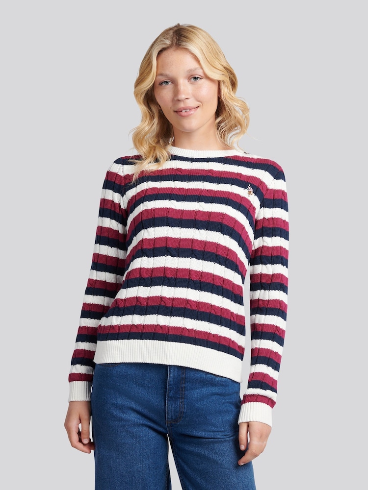 U.S. Polo Assn. Purple Stripe Crew Neck Cable Jumper - Image 1 of 1