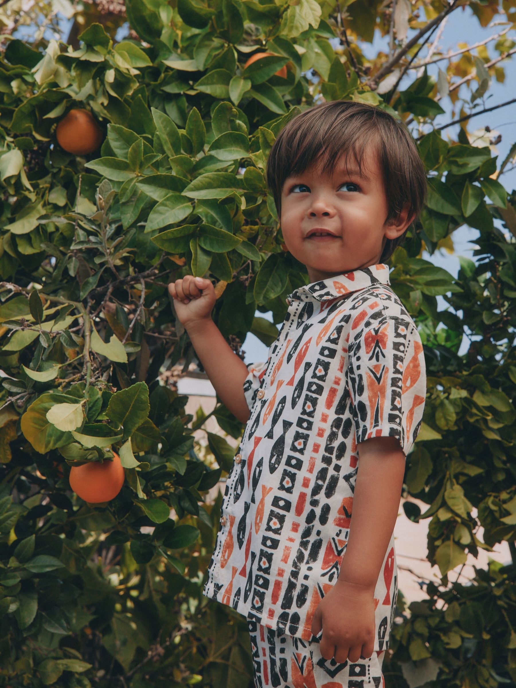 Buy Ecru All Over Print Fish Short Sleeve AOP Shirt and Shorts Set