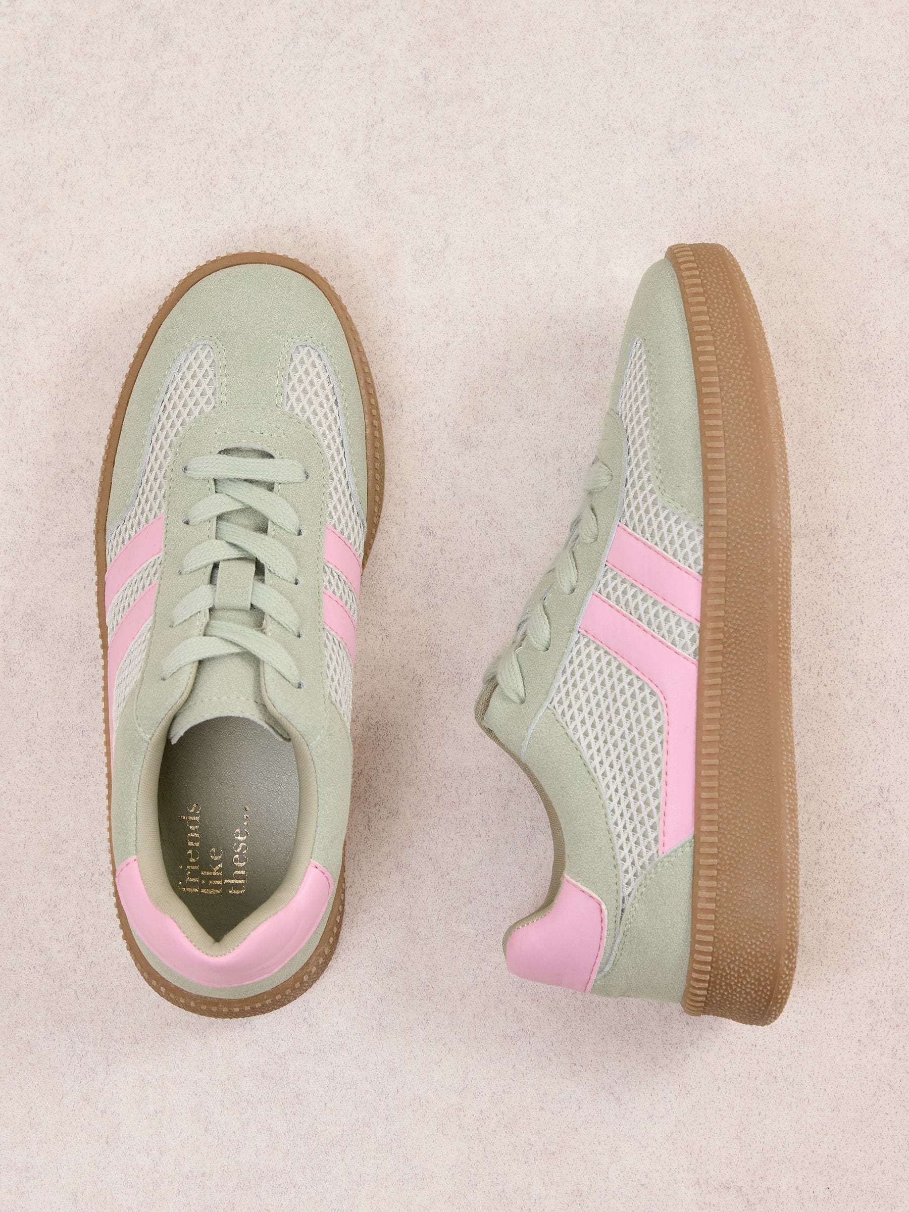 Buy Friends Like These Green/Pink Standard Fit Lace-Up Retro