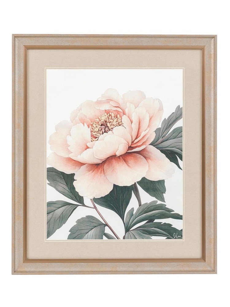 Gallery Home Multicoloured Peonys Gaze Framed Art - Image 1 of 4