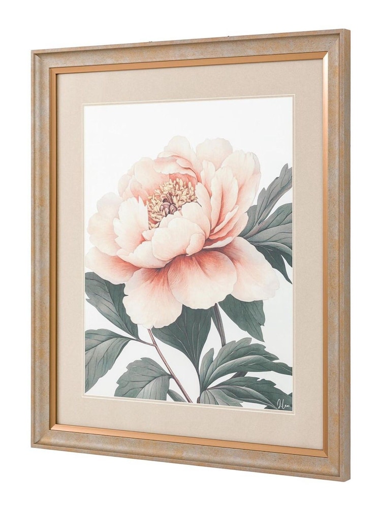 Gallery Home Multicoloured Peonys Gaze Framed Art - Image 2 of 4