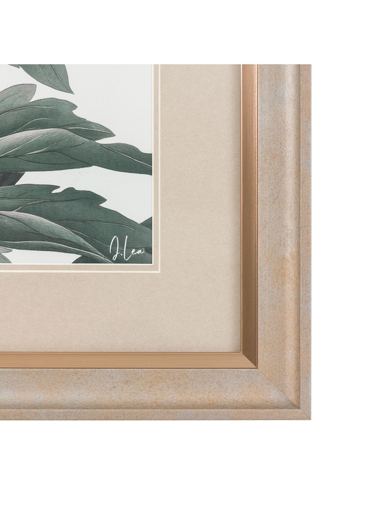 Gallery Home Multicoloured Peonys Gaze Framed Art - Image 4 of 4 Gallery Home Multicoloured Peonys Gaze Framed Art - Image 4 of 4