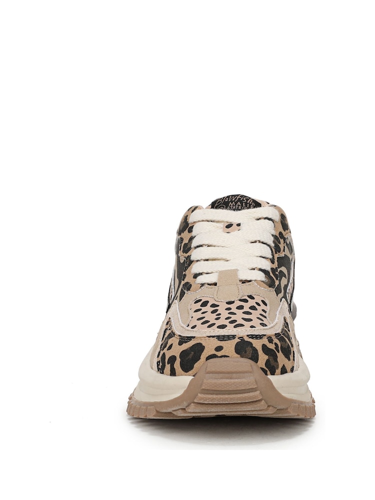 Buy Blowfish Malibu Regular Fit Animal Print Leo Lace Up Trainers