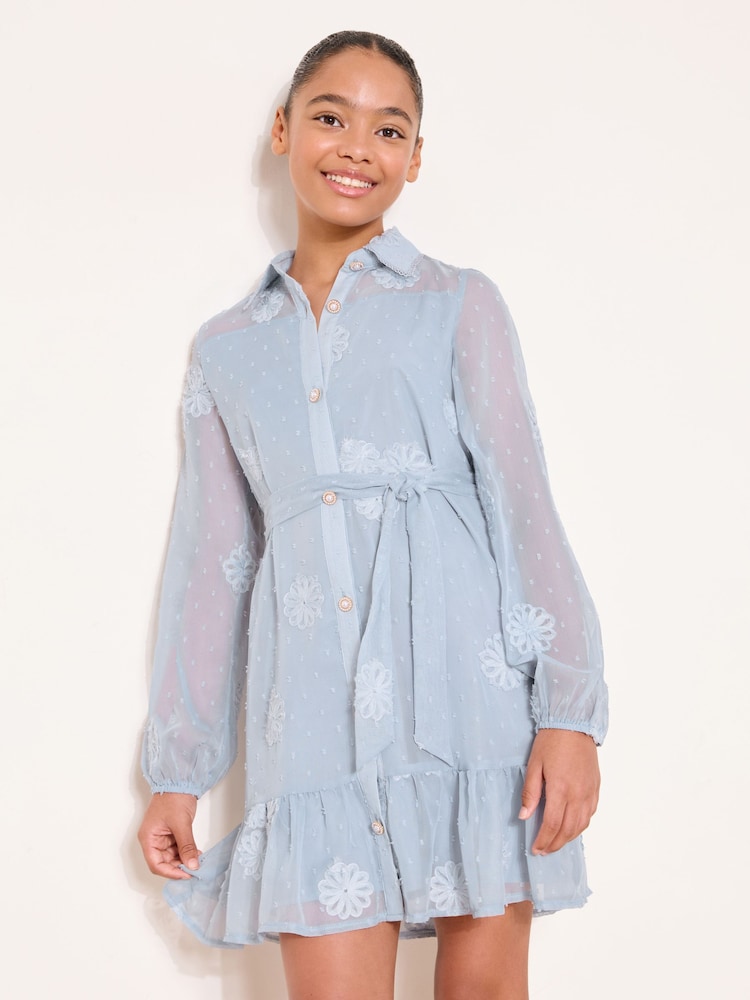dobby shirt dress Petite Clip-Dot Supima Cotton Dobby Shirt Dress