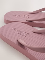 Violeta violeta - self. Iešļūcenes - Attēls 8 no 8