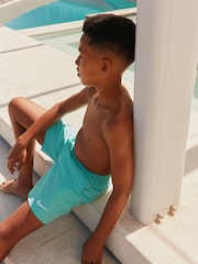 Shorts de baño estilo volley básicos de Nike - Imagen 6 de 9