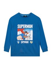Character Blue Superman DC Comics Sweatshirt - Image 1 of 8