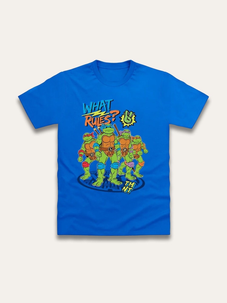 Brand Threads Blue Teenage Mutant Ninja Turtles Print T-Shirt - Image 1 of 1 Brand Threads Blue Teenage Mutant Ninja Turtles Print T-Shirt - Image 1 of 1