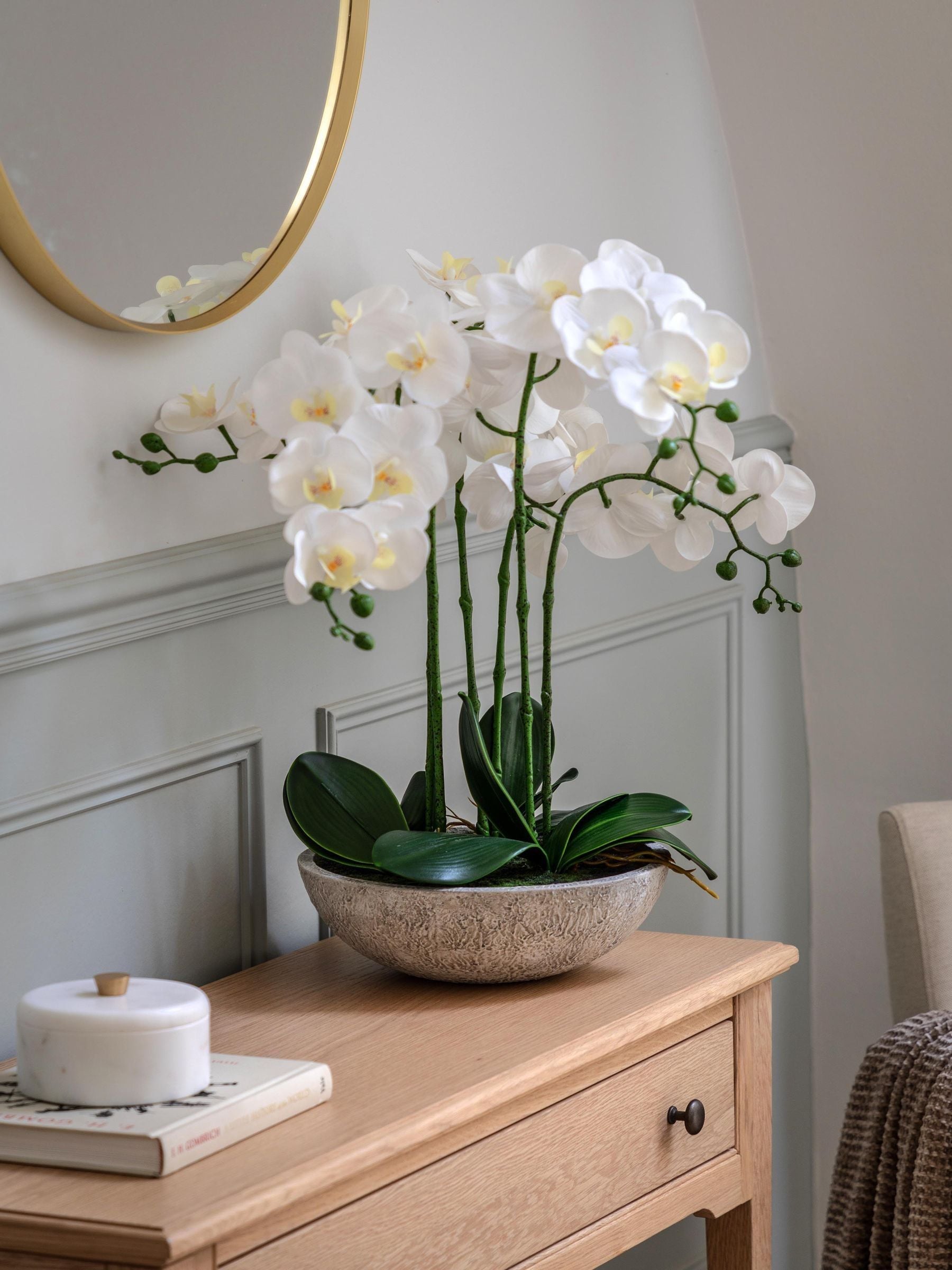 Buy Gallery Home White Oversized Orchid in Cement Style Pot from