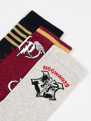 Juego de 3 pares de calcetines tobilleros de Vanilla Underground - Imagen 5 de 6