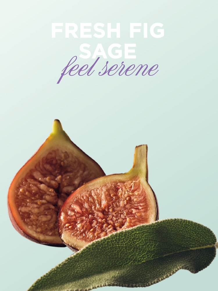 Victoria's Secret Fresh Fig Sage Hair & Body Mist - Image 2 of 2 Victoria's Secret Fresh Fig Sage Hair & Body Mist - Image 2 of 2