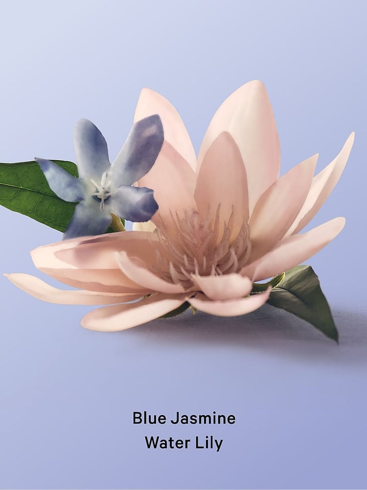 Victoria's Secret Blue Jasmine Water Lily Roll-on Deodorant - Image 3 of 3