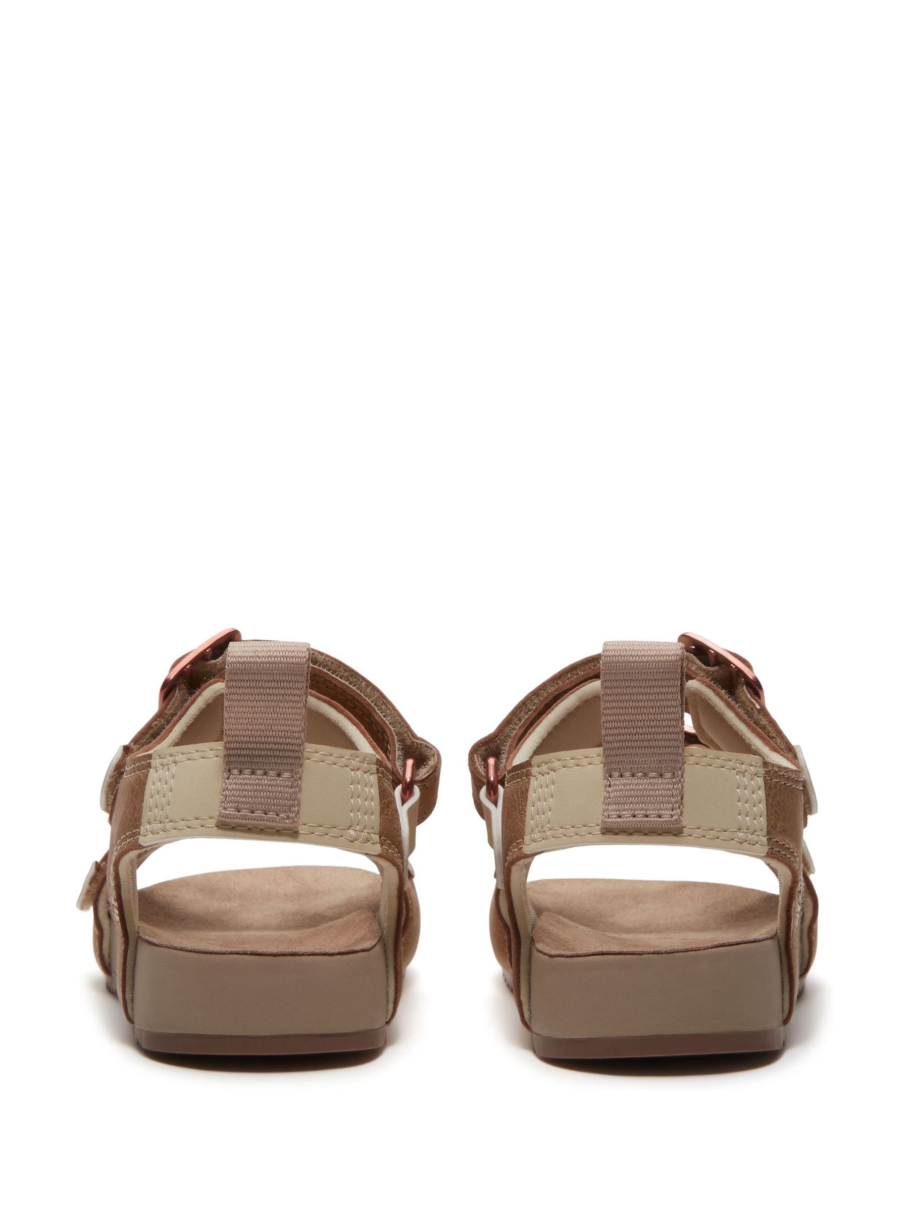 Buy Timberland Brown Castle Island Backstrap Sandal from Next USA