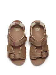 Timberland Brown Castle Island Backstrap Sandal - Image 7 of 9