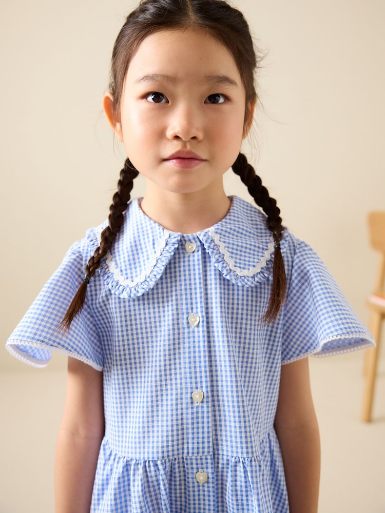 blue gingham peter pan collar dress Girls Next Cotton Rich Angel Sleeve School (3-14yrs) 8 Years Smocked Size:Petite-4 Baby blue woven halter long dress Karen Kane Women's Petites dress + matching bloomers