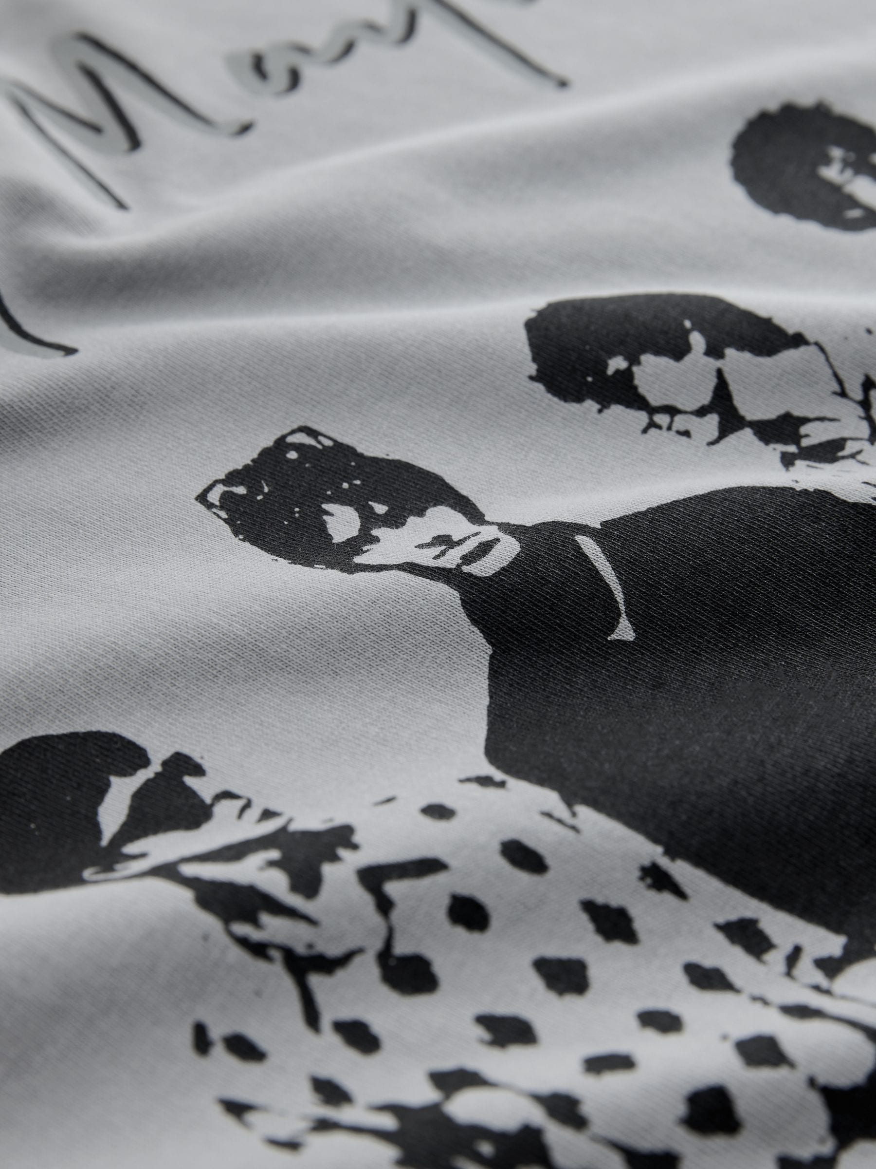 Buy Grey Oasis Graphic Band T-Shirt from Next USA