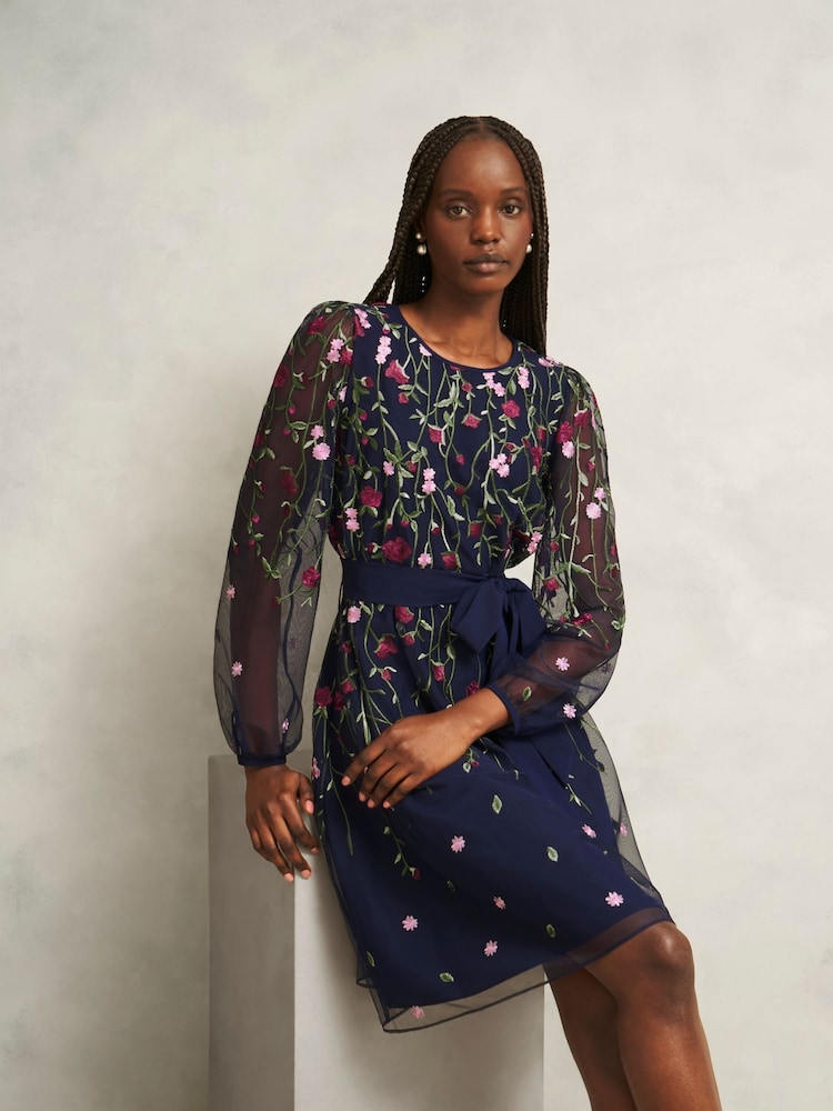 Hobbs Blue Emmy Dress - Image 1 of 4