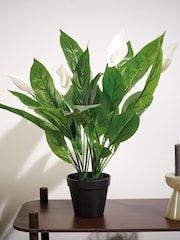 Decoris Artificial Peace Lily - Image 1 of 2