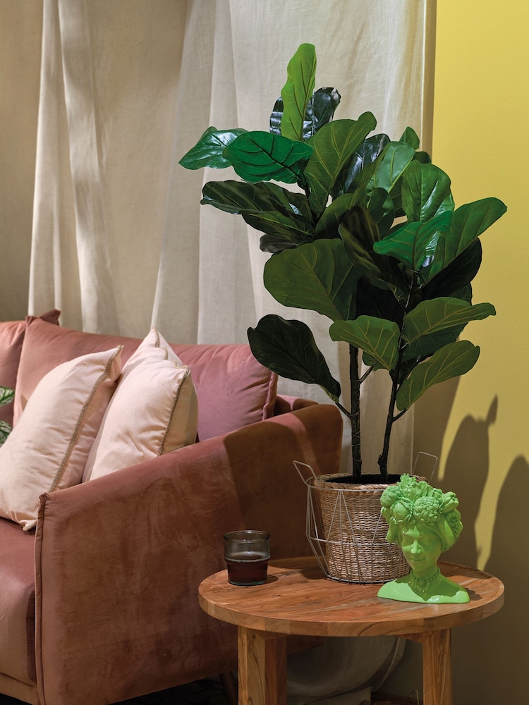 Decoris Artificial Ficus - Image 1 of 2
