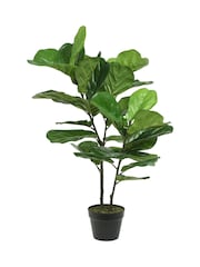 Decoris Artificial Ficus - Image 2 of 2