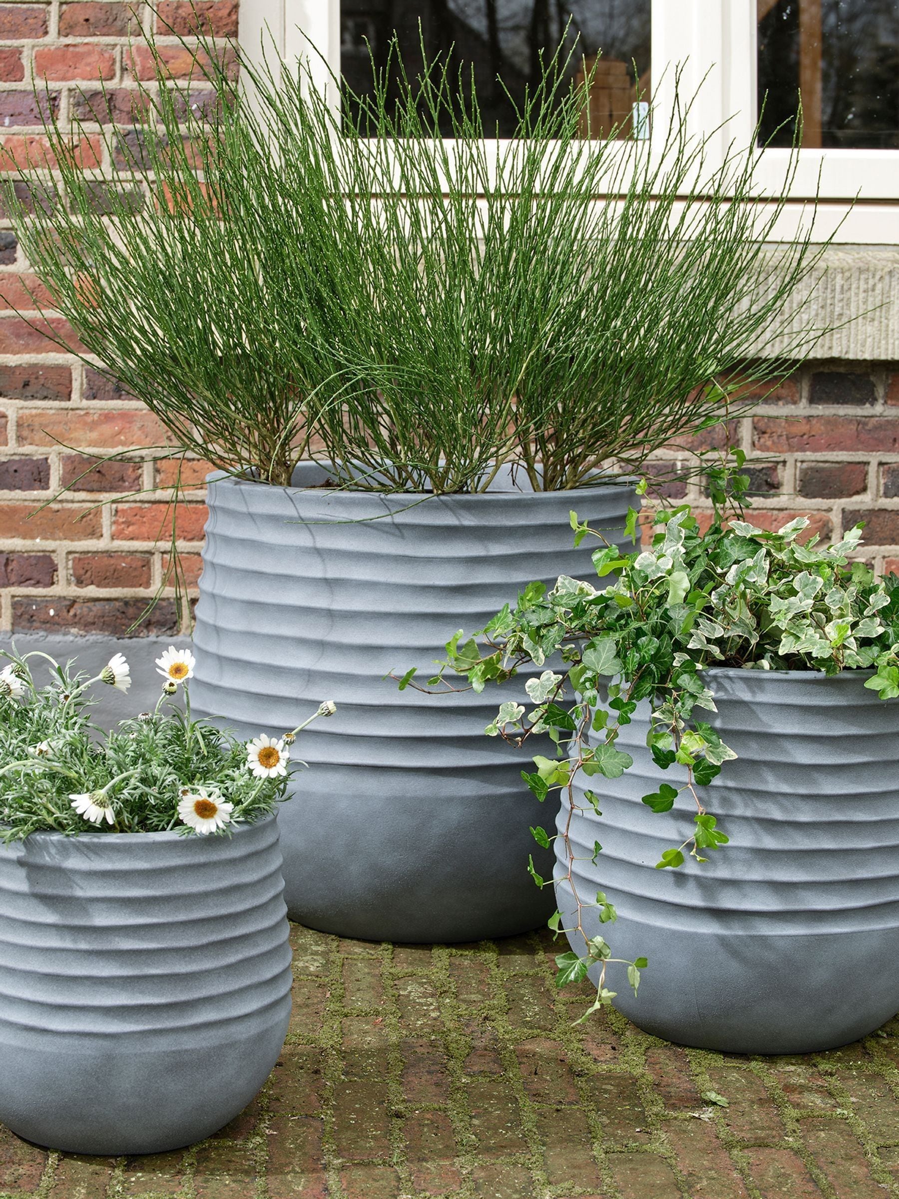Buy Decoris Set of 3 Jamie Plastic Planters from the Next UK