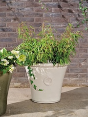 Decoris Sarah Planter - Image 1 of 2