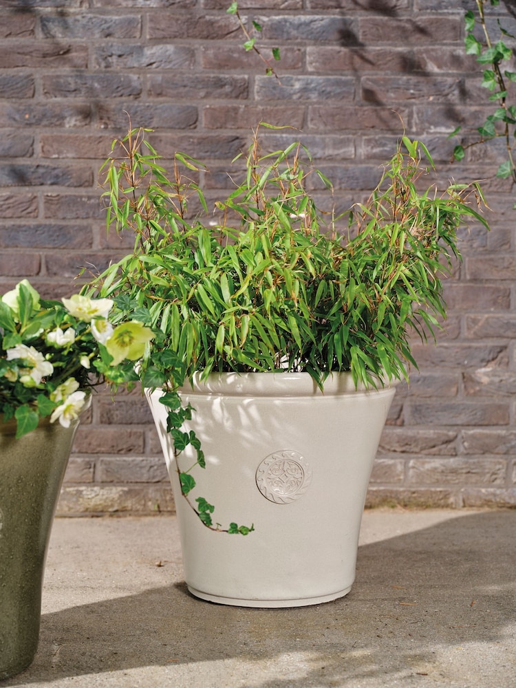 Decoris Sarah Planter - Image 1 of 2