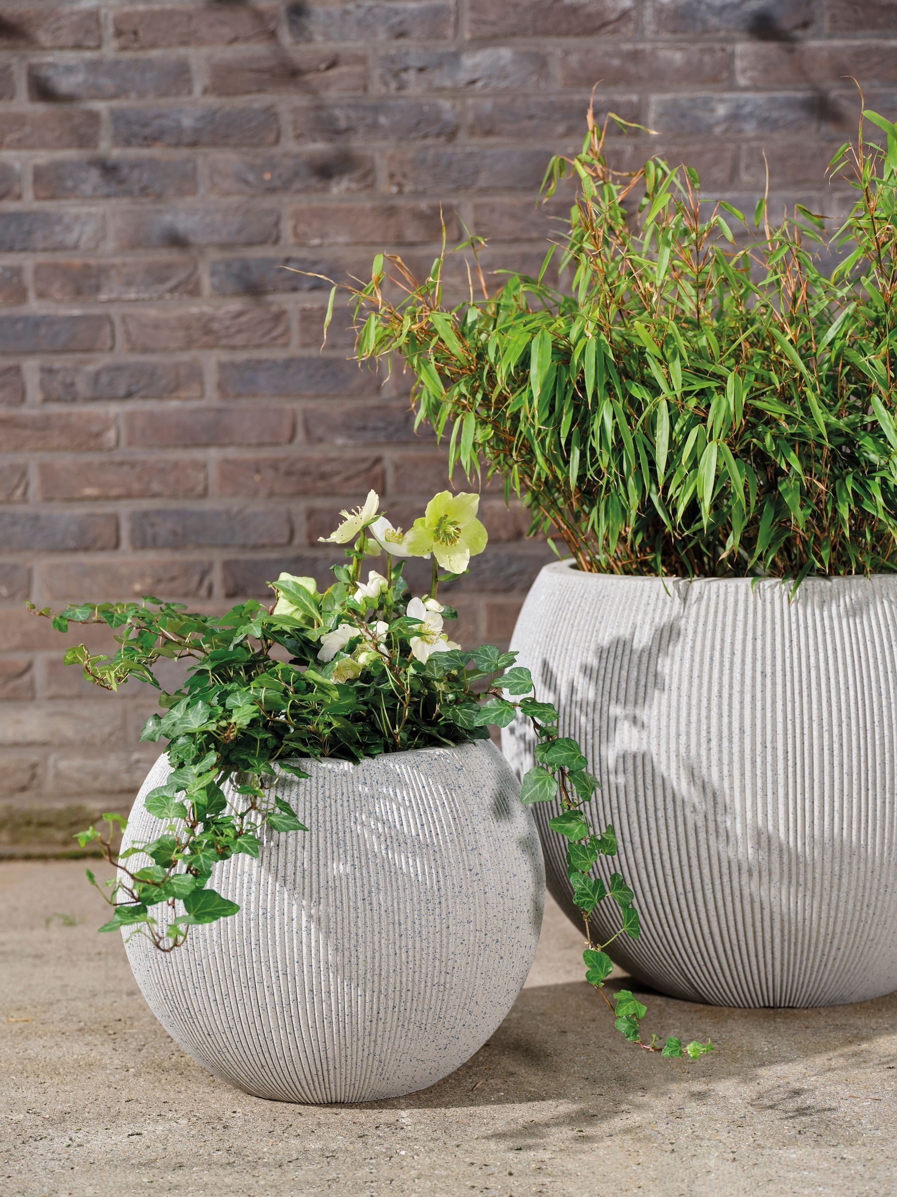 Buy Decoris Plastic Lennox Planters from the Next UK online shop