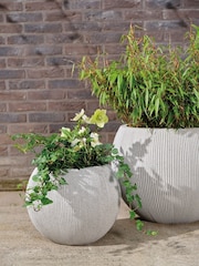 Decoris Plastic Lennox Planters - Image 1 of 2
